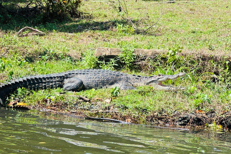 Bentota/Beruwala: Galle Fort, Koggala Lake & Kayaking Tour