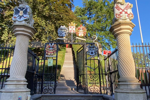 Leiden: Historical and Fun City Tour in German, English or Dutch Leiden: City tour in Dutch