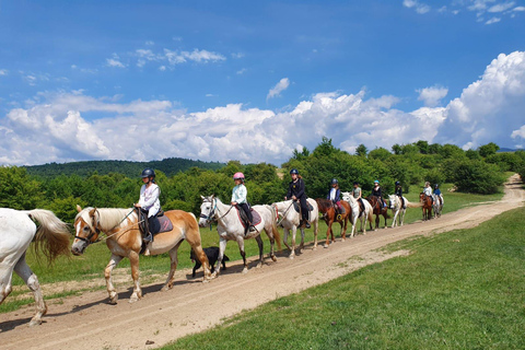 Bucarest: A cavallo nella natura e pranzo tradizionale