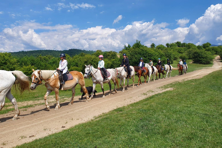 Bucarest : Randonnée à cheval dans la nature et déjeuner traditionnel