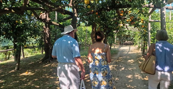 Amalfi: Lemon Grove Tour