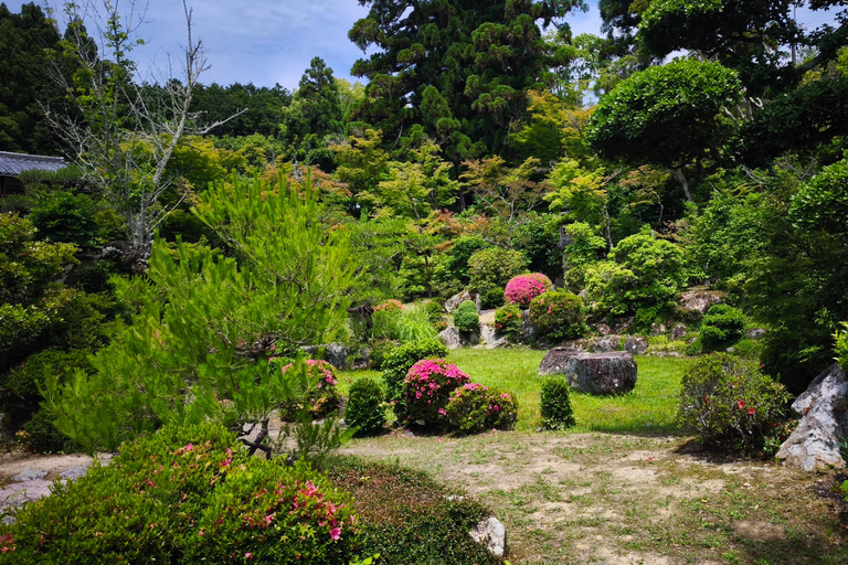 Kyoto: FUN Calligraphy Experience – Launch Special! Private Authentic Shodo Experience near Ninnaji Temple