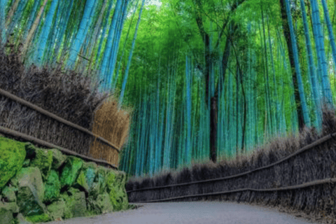 Kyoto: Arashiyama Unveiled – Bamboo, Temple, Matcha, Monkeys Kyoto: Arashiyama Unveiled Bamboo, Temple, Matcha, & Monkeys