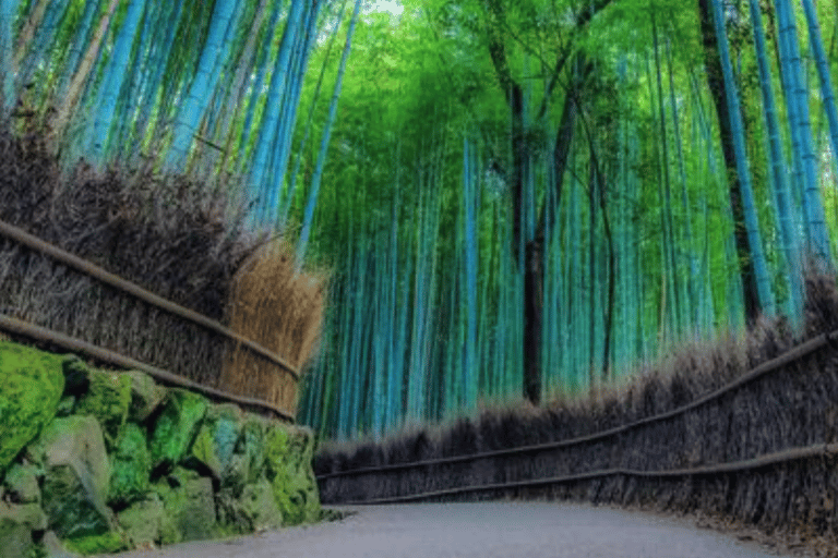 Kyoto: Arashiyama Unveiled – Bamboo, Temple, Matcha, Monkeys Kyoto: Arashiyama Unveiled Bamboo, Temple, Matcha, & Monkeys