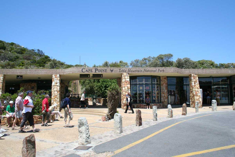 Città del Capo: Tour di un giorno della Penisola del Capo e Penguin Beach