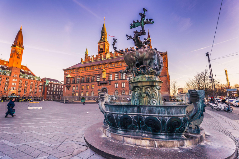 Copenhagen Canal Boat Cruise and City, Nyhavn Walking Tour 3-hour: Old Town Tour & Boat Cruise