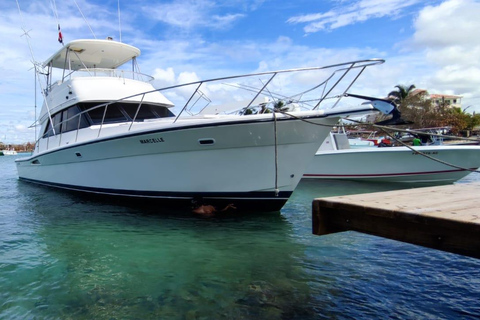 Punta Cana: Tour particular de iate pela Ilha Saona com mergulho com snorkel