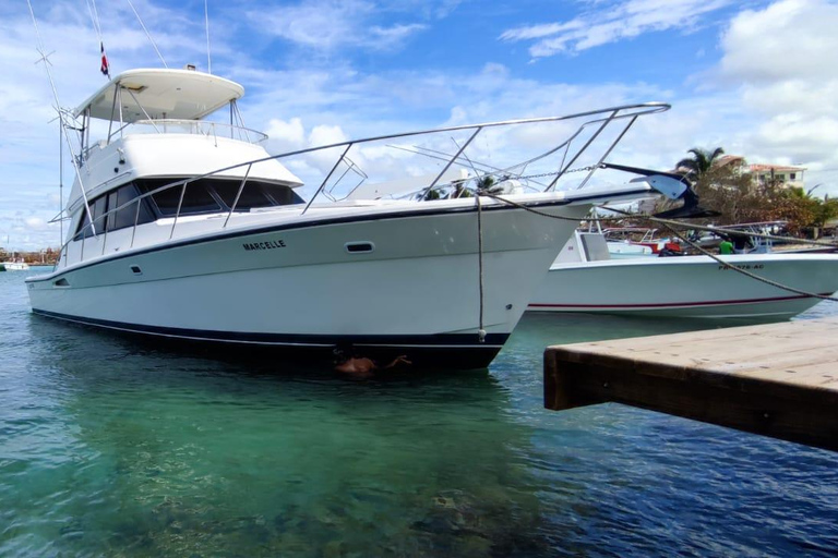 Punta Cana: Tour particular de iate pela Ilha Saona com mergulho com snorkel