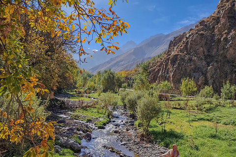 Marrakech: Zip Line nelle montagne dell&#039;Atlante e nei villaggi berberiZip-Line nelle montagne dell&#039;Atlante e nei villaggi berberi