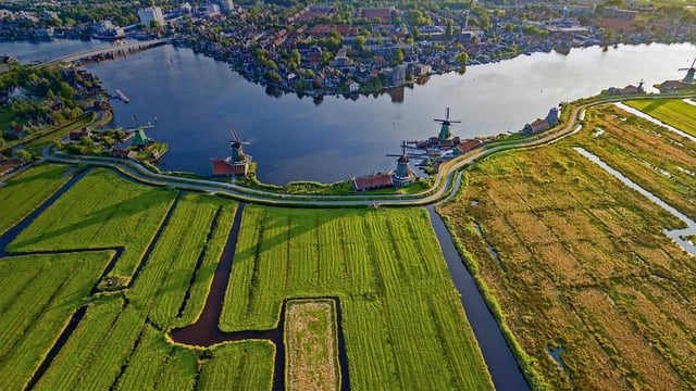 Amsterdam: tour guidato dei mulini a vento di Zaanse Schans in italiano