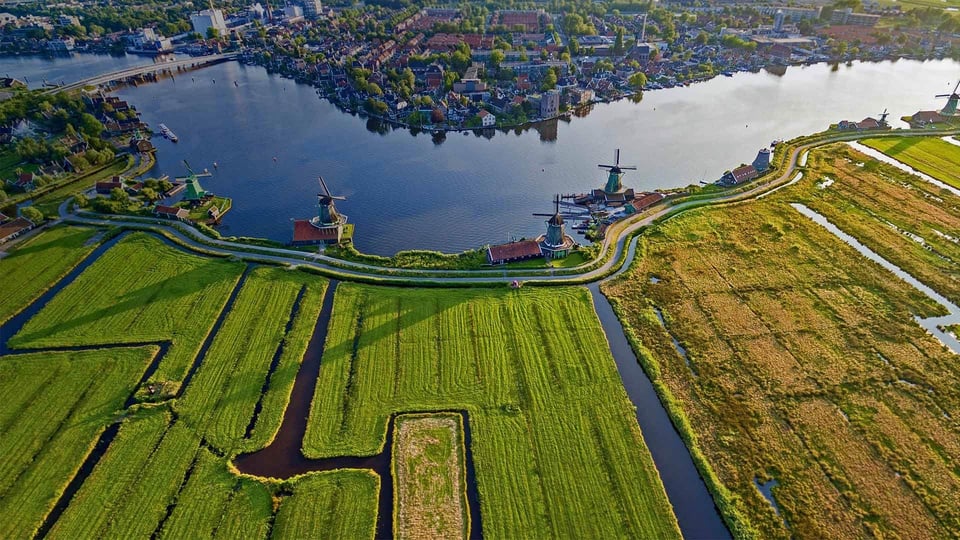 Amsterdam : visite guidée des moulins de Zaanse Schans en italien