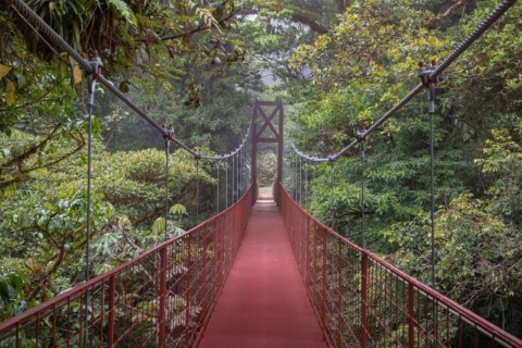 Z San José: wiszące mosty Monteverde i wolne popołudnie