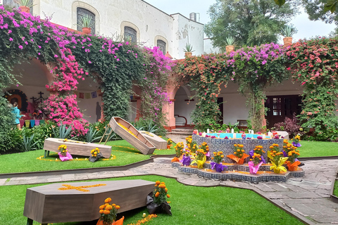 Coyoacan, Histoire et Vie d'un Quartier MagiqueCoyoacan, histoire et vie d'un quartier enchanteur