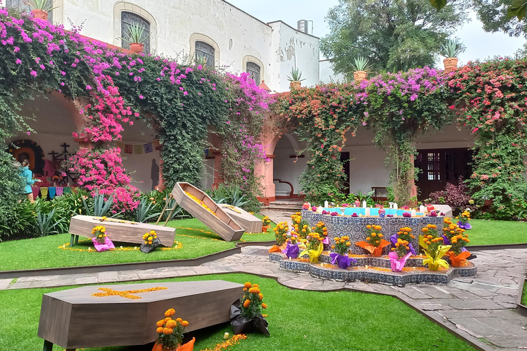 Coyoacan, Histoire et Vie d'un Quartier MagiqueCoyoacan, histoire et vie d'un quartier enchanteur