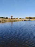 Zasavica Safari Tour - Housity