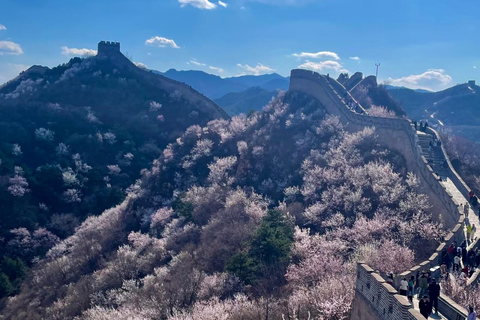 Beijing: Badaling Great Wall VIP Experience with Cable Car Beijing：Badaling Great Wall VIP Experience with Cable Car