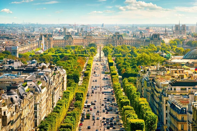 Excursão particular de 1 dia em Paris a partir do porto de Le Havre