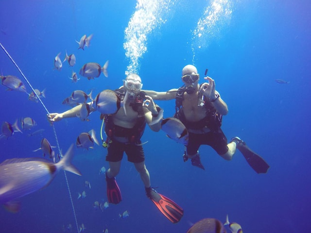 Larnaca: Private Zenobia Beginners Divers