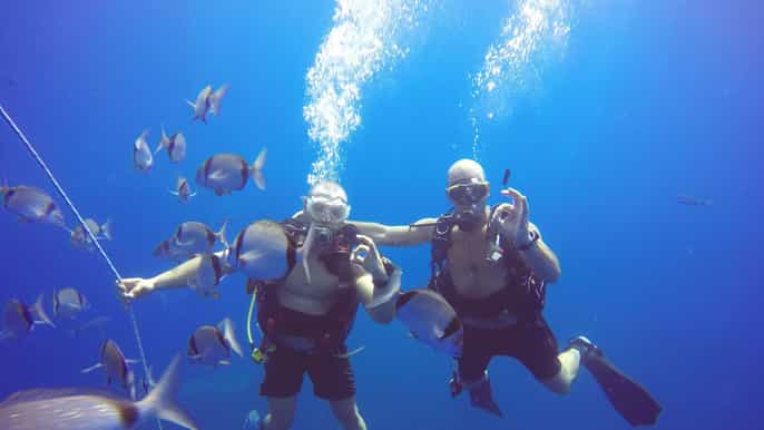 Larnaca: Private Zenobia Beginner Divers