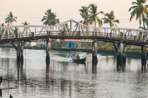 Kochi: Private Island Hopping Tour