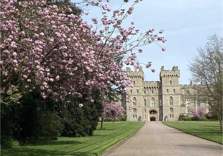 Fra London: Halvdagstur til Windsor med slotsbilletter