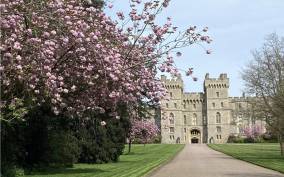 From London: Half-Day Trip to Windsor with Castle Tickets