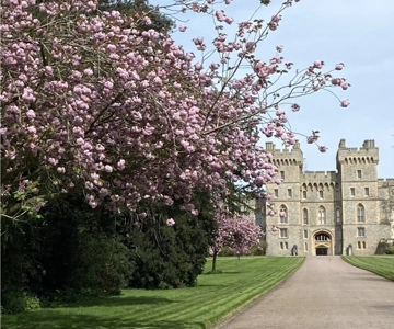 Da Londra: escursione di mezza giornata a Windsor con biglietti per il castello