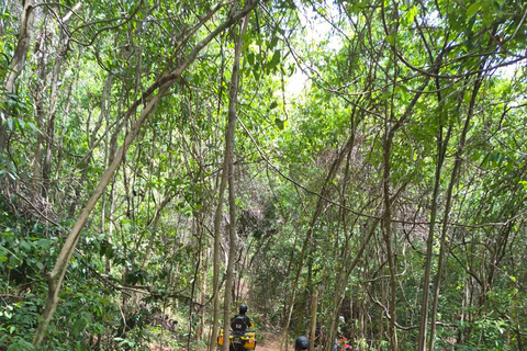 Pattaya: Experienced ATV & Buggy Ride on Jungle Trails Premium Experienced Ride 4-Seater Buggy Full Vehicle