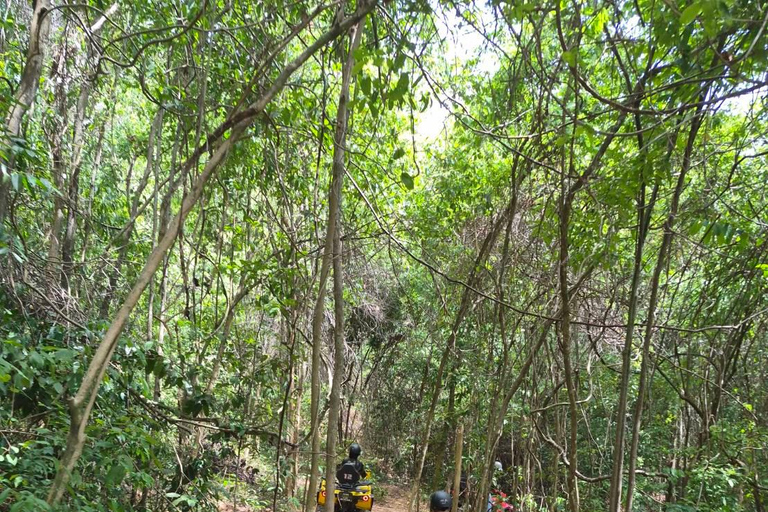 Pattaya: Experienced ATV & Buggy Ride on Jungle Trails Premium Experienced Ride 4-Seater Buggy Full Vehicle