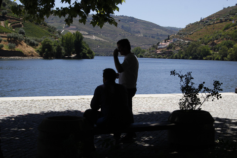 Porto: Douro Valley Half-Day Wine and Food Tour Tour with Hotel Pickup