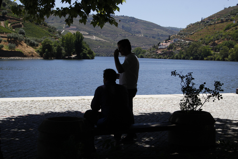 Porto: Douro Valley Half-Day Wine and Food Tour Tour with Hotel Pickup