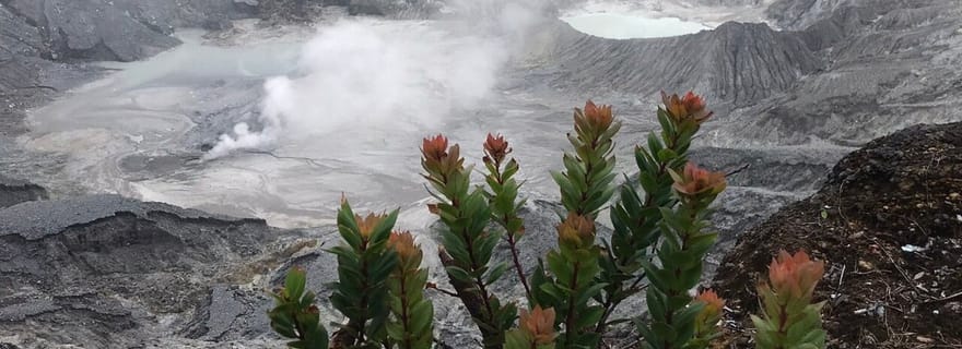 Jakarta : Volcan, champs de thé et de riz, sources d'eau chaude, nourriture locale