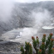 Jakarta: Volcano, Tea/Rice Fields, Hot Spring, Local Food