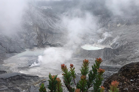 Yakarta: Volcán, campos de arroz y té, aguas termales y comida local