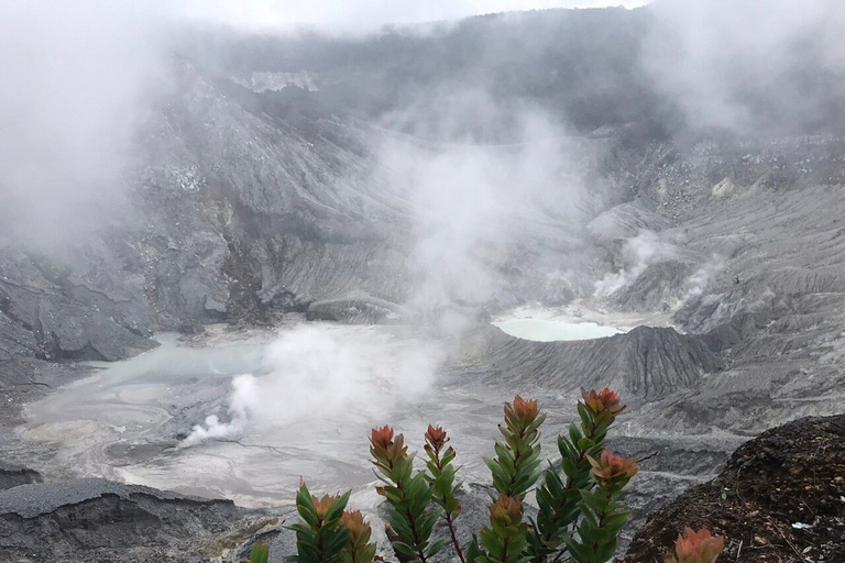 Jakarta: Vulcano, campi di tè/riso, sorgenti termali, cibo localeTour per piccoli gruppi (massimo 7 viaggiatori)