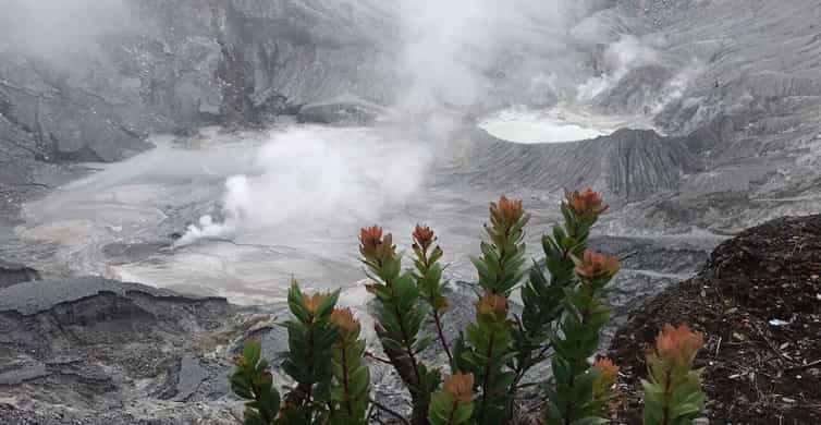 Jakarta: Volcano, Tea/Rice Fields, Hot Spring, Local Food