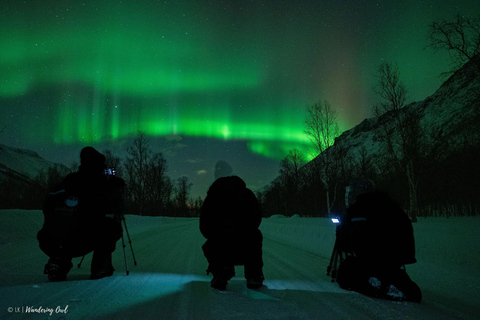 Tromsø: Express Aurora Hunt