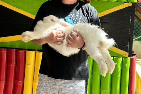 Doctor cave beach one of the best beaches in Montego Bay