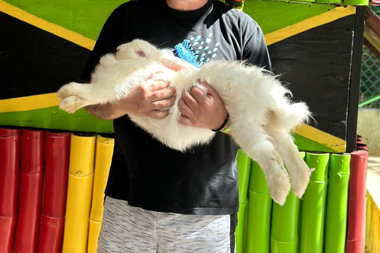 Doctor cave beach one of the best beaches in Montego Bay