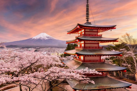 Tokyo, Mt. Fuji, Kyoto, Osaka: 7-Day Private Tour of Japan