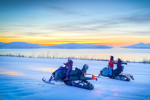 Från Tromsö: Lyngen Alperna Guidad tur med snöskoter