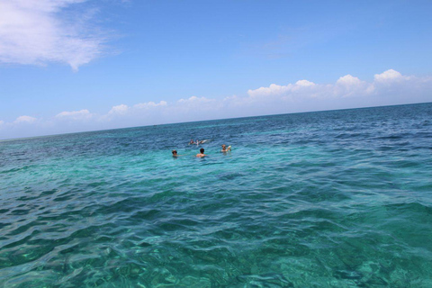 Tumbato eiland snorkeltour: van Kendwa&amp;Nungwi