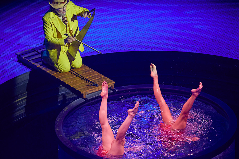 Cirque du Soleil LUDÕ — Vallarta Premium Balcony Experience: Show, Champagne, and Canapés