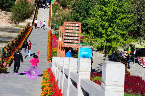 Peking Steinwald Schlucht Tour mit Englisch sprechendem Fahrer