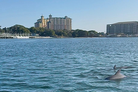 Destin: Destin Dolphin Harbor & Bay Boat Tour