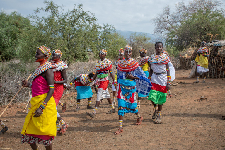 Amboseli Safari Escape: 3-Day Luxury Adventures