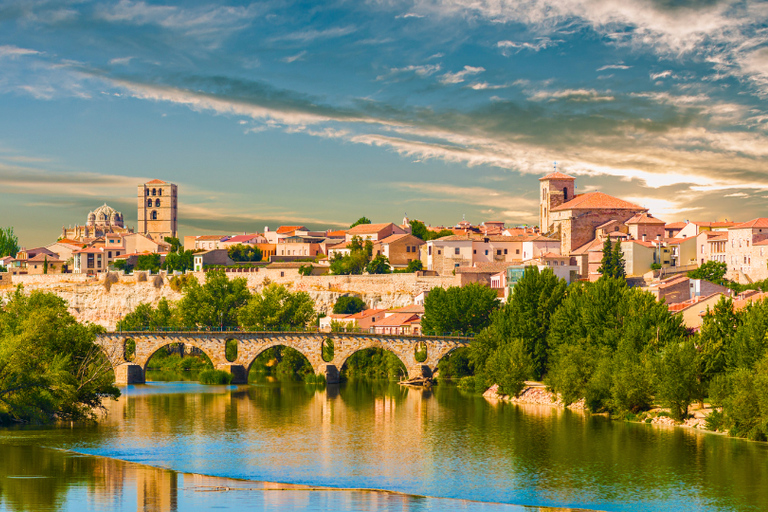 Zamora: Private Guided Tour