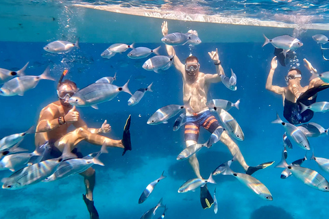 Vanuit Marseille: Iconische rondvaart door de Calanques met snorkelenMiddag rondvaart: Vertrek Vieux-Port