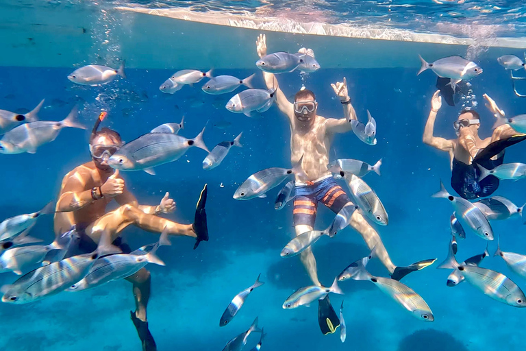 Vanuit Marseille: Iconische rondvaart door de Calanques met snorkelenMiddag rondvaart: Vertrek Vieux-Port