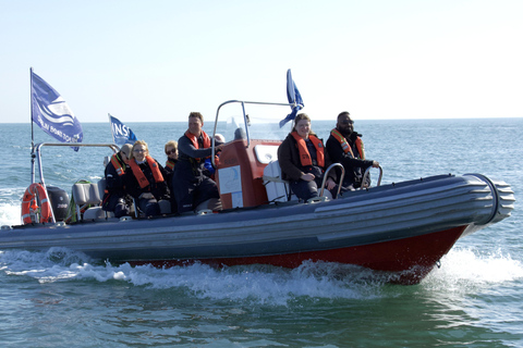 Guided Boat Tour around Dublin Bay
